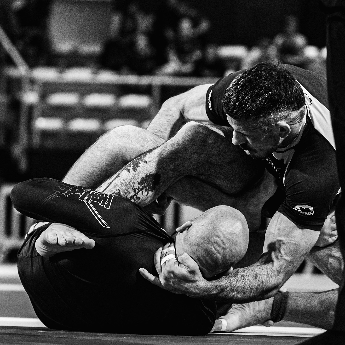 Daniel Holý v akci — profi shot @yuri.catalano